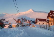 Pensiuni și restaurante din Gorj, amendate de DSV. Inspectorii au găsit mizerie de nedescris