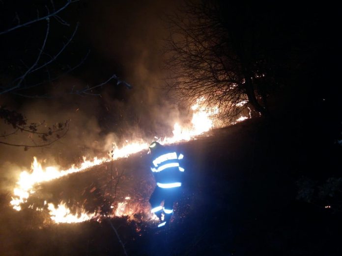 incendiu vegetatie