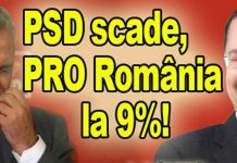PSD se prăbușește în sondaje, Pro România îi ține trena