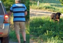 Amendat cu 12.000 de lei, după ce și-a abandonat câinele pe câmp